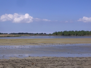 Friesland  Bunt 22-26-mei 2013 069