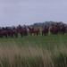 Friesland  Bunt 22-26-mei 2013 006