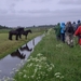 Friesland  Bunt 22-26-mei 2013 082