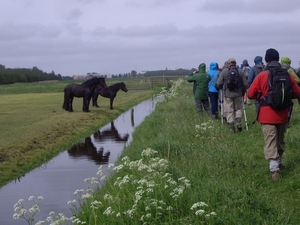 Friesland  Bunt 22-26-mei 2013 082