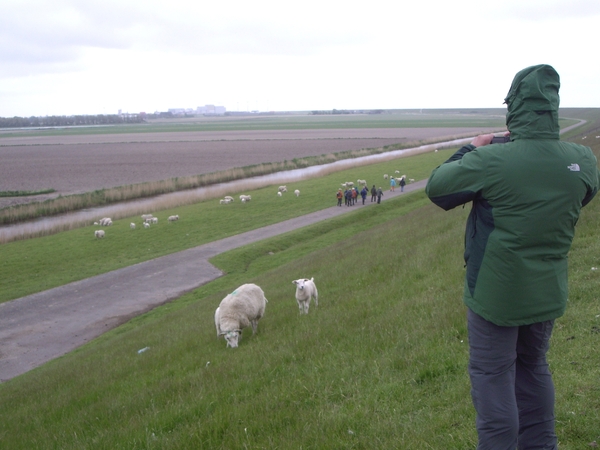 Friesland  Bunt 22-26-mei 2013 091