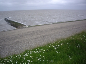 Friesland  Bunt 22-26-mei 2013 101