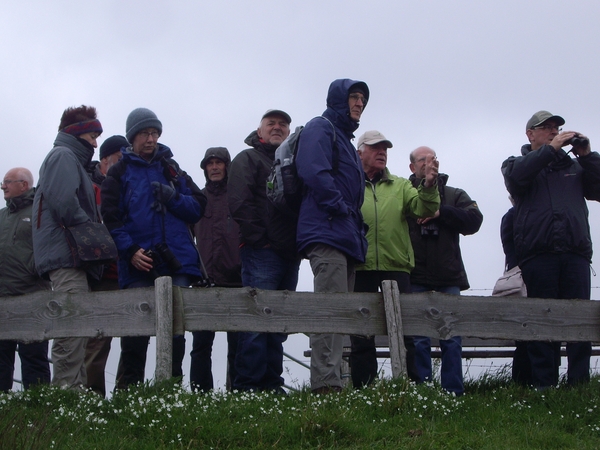 Friesland  Bunt 22-26-mei 2013 128