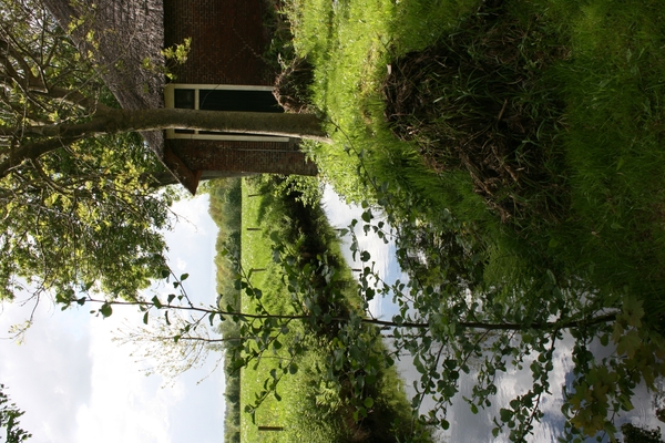 IMG_5103