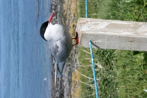IMG_5615