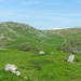 My Yorkshire 008