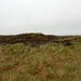 My Yorkshire 013