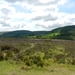 My Yorkshire 014
