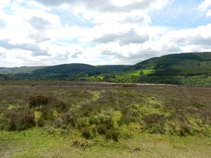 My Yorkshire 014