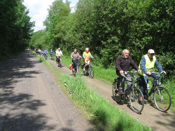 buntfiets13 024