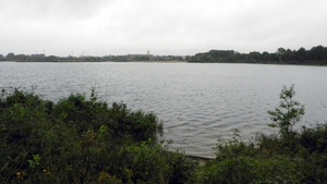 DSCN4484