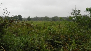DSCN4485