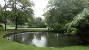 DSCN4496