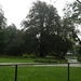 DSCN4497