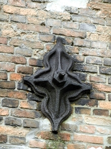 DSCN4503