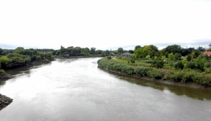 DSCN4518