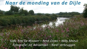 Naar de monding van de Dijle