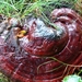 P1370140