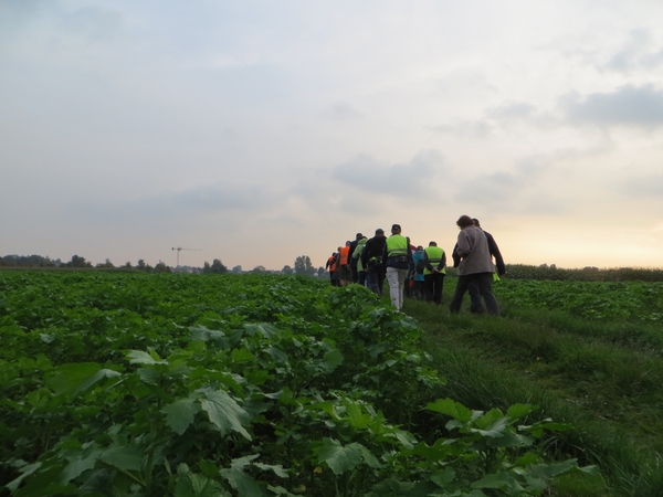 2013-10-12 Aalst 018