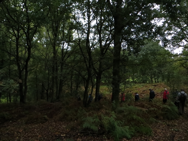 2013-10-14 Uitbergen 011