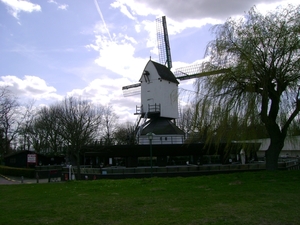 DSC00274