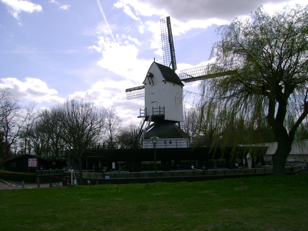 DSC00274