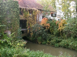 Pluswandeling Zwalm October 2013 005