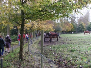 Pluswandeling Zwalm October 2013 006