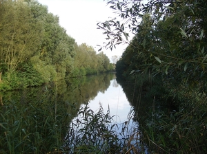 Pluswandeling Zwalm October 2013 017