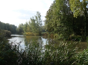 Pluswandeling Zwalm October 2013 018