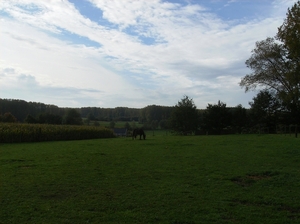 Pluswandeling Zwalm October 2013 021