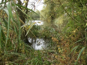 Pluswandeling Zwalm October 2013 023