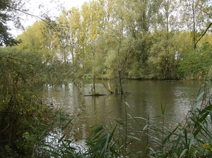 Pluswandeling Zwalm October 2013 024