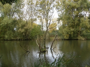 Pluswandeling Zwalm October 2013 025
