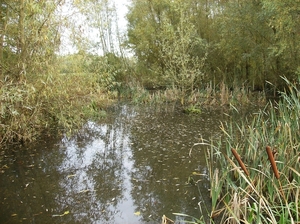 Pluswandeling Zwalm October 2013 027