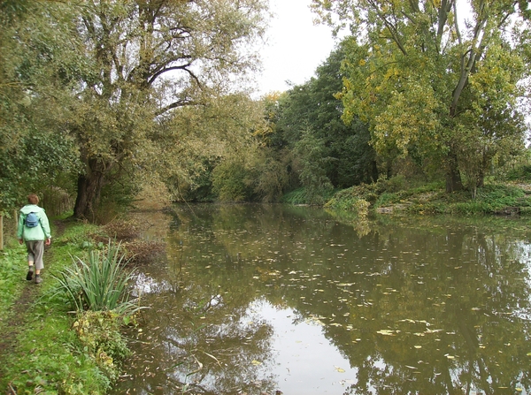 Pluswandeling Zwalm October 2013 028