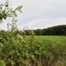 2013-10-20 Meldert 003