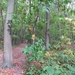 2013-10-20 Meldert 004