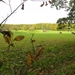 2013-10-20 Meldert 006