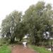 2013-10-20 Meldert 009