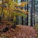 afdaling Hooilandseberg