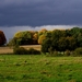 in herfstlicht