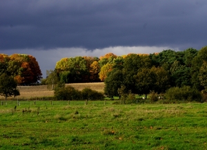 in herfstlicht