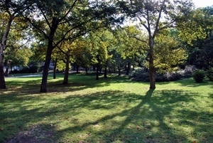 Central Park