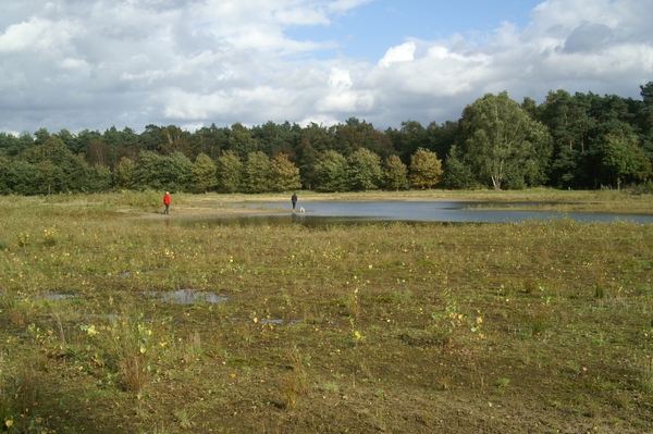 131023 08    NATUUR