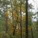 131023 13    NATUUR