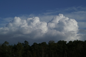 131023 24    WOLKEN, FISCHTEICH