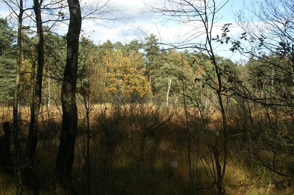 131023 32    NATUUR