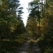 131023 36    NATUUR
