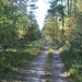 131023 37    NATUUR